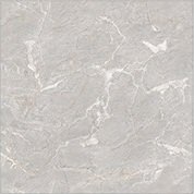 The 1038-LT tile face, close up
