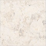 The 1041-LT tile face, close up